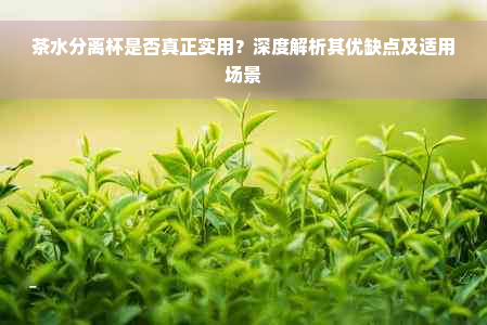 茶水分离杯是否真正实用？深度解析其优缺点及适用场景