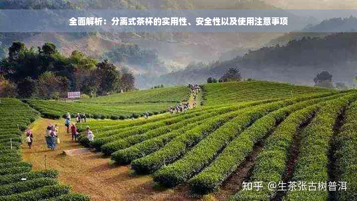 全面解析：分离式茶杯的实用性、安全性以及使用注意事项