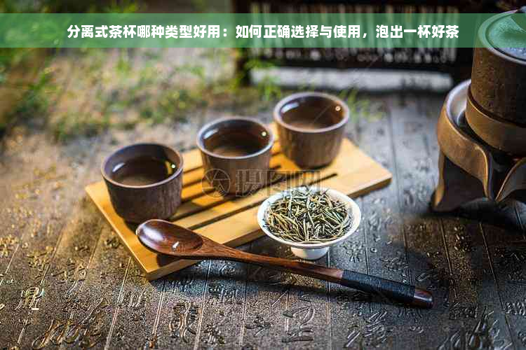 分离式茶杯哪种类型好用：如何正确选择与使用，泡出一杯好茶