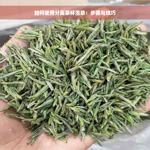 如何使用分离茶杯泡茶：步骤与技巧