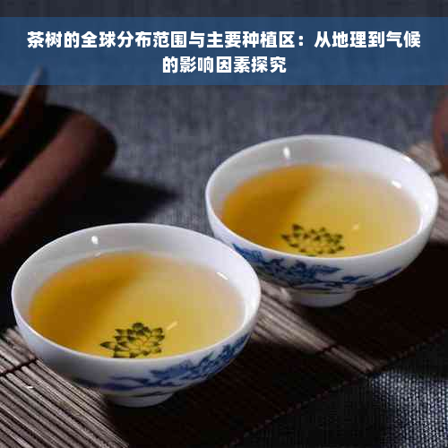 茶树的全球分布范围与主要种植区：从地理到气候的影响因素探究