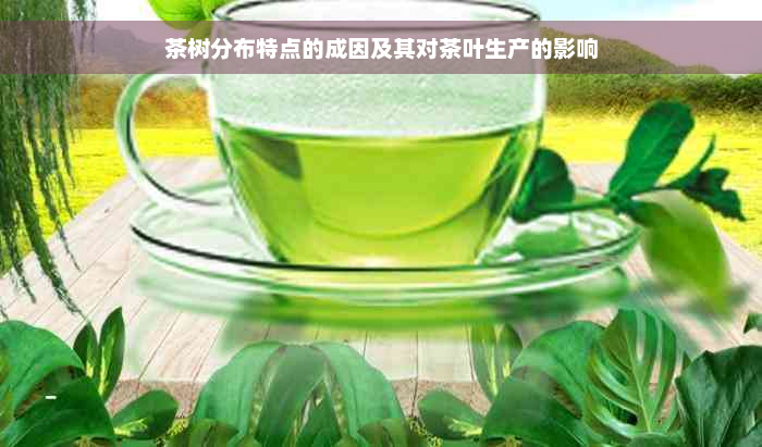 茶树分布特点的成因及其对茶叶生产的影响