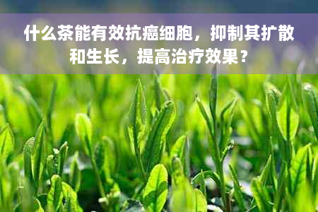 什么茶能有效抗癌细胞，抑制其扩散和生长，提高治疗效果？