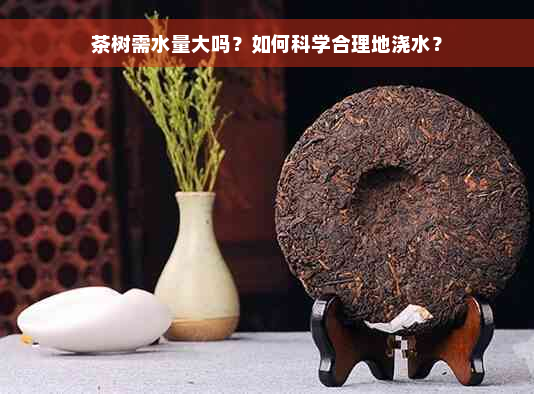 茶树需水量大吗？如何科学合理地浇水？