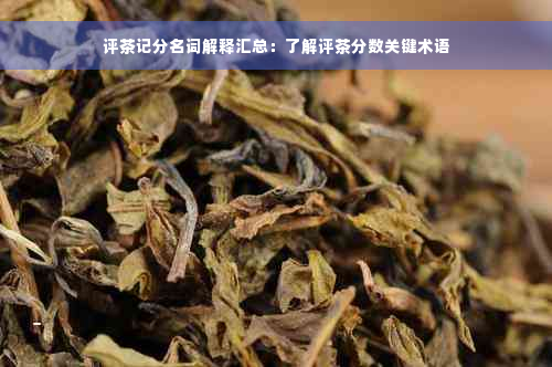 评茶记分名词解释汇总：了解评茶分数关键术语