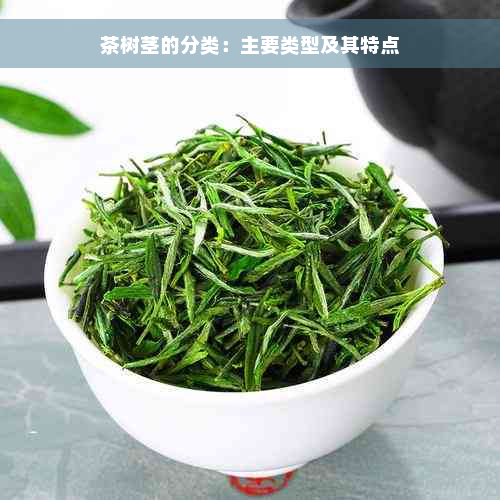 茶树茎的分类：主要类型及其特点