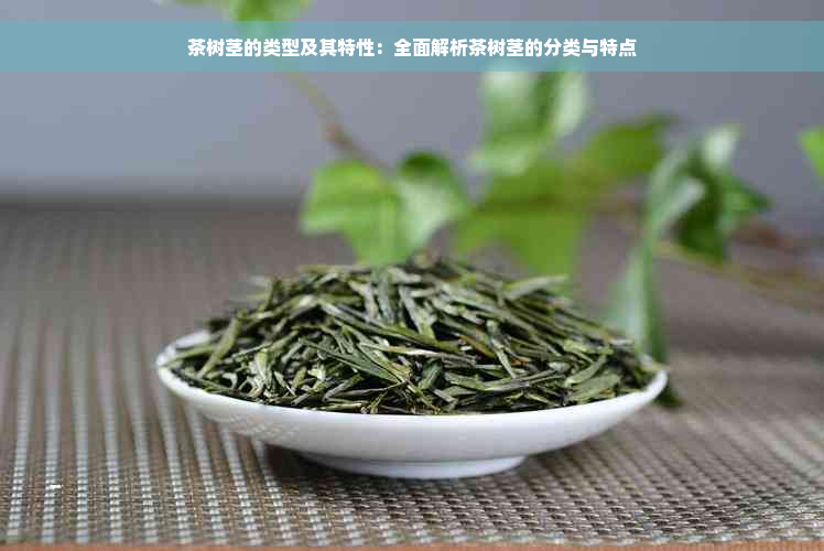 茶树茎的类型及其特性：全面解析茶树茎的分类与特点