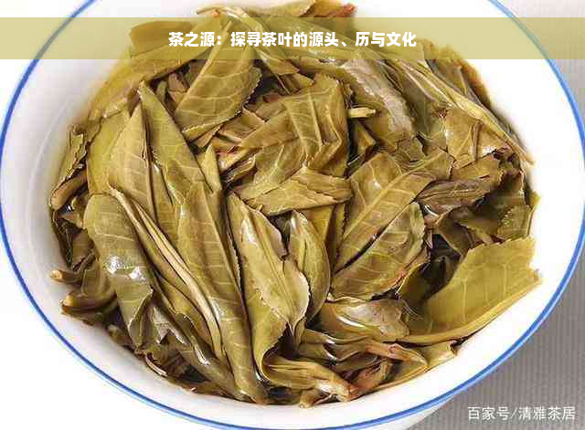 茶之源：探寻茶叶的源头、历与文化