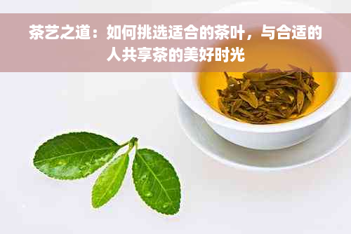 茶艺之道：如何挑选适合的茶叶，与合适的人共享茶的美好时光