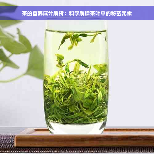 茶的营养成分解析：科学解读茶叶中的秘密元素