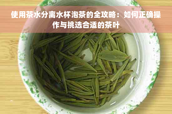 使用茶水分离水杯泡茶的全攻略：如何正确操作与挑选合适的茶叶