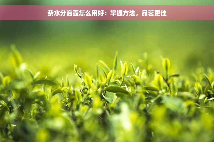 茶水分离壶怎么用好：掌握方法，品茗更佳