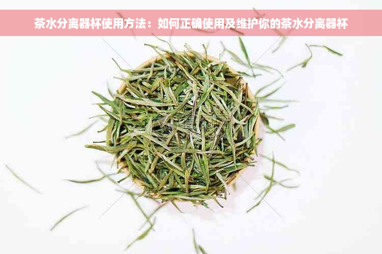 茶水分离器杯使用方法：如何正确使用及维护你的茶水分离器杯