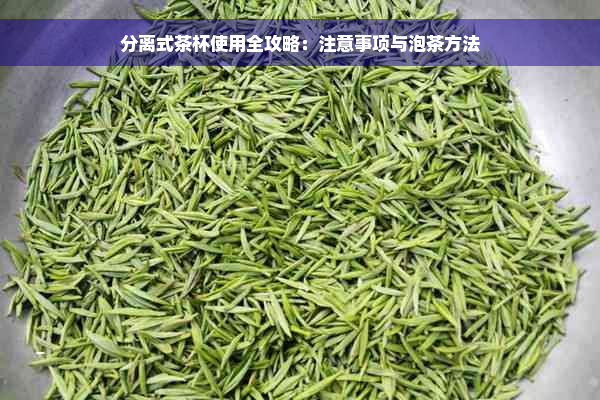 分离式茶杯使用全攻略：注意事项与泡茶方法