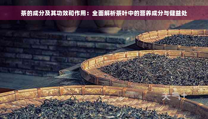 茶的成分及其功效和作用：全面解析茶叶中的营养成分与健益处