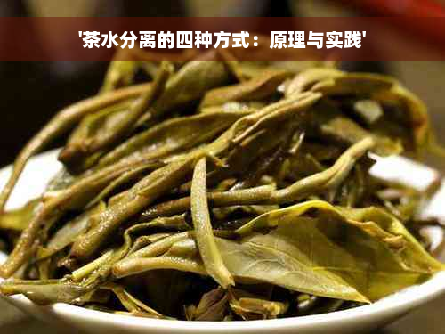 '茶水分离的四种方式：原理与实践'