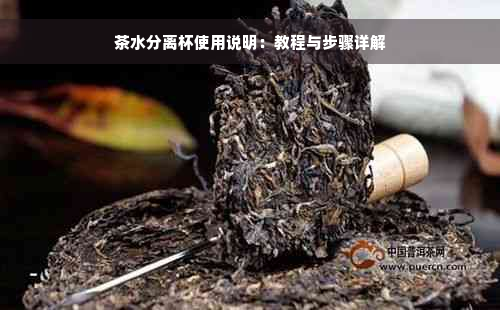 茶水分离杯使用说明：教程与步骤详解