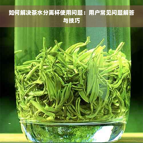 如何解决茶水分离杯使用问题：用户常见问题解答与技巧