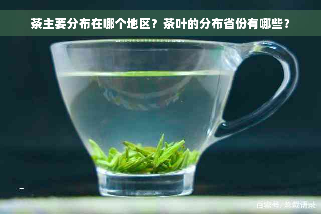 茶主要分布在哪个地区？茶叶的分布省份有哪些？