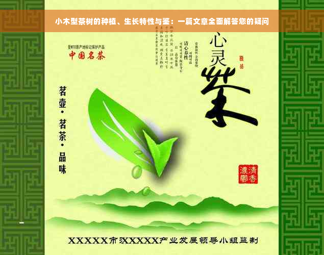 小木型茶树的种植、生长特性与鉴：一篇文章全面解答您的疑问