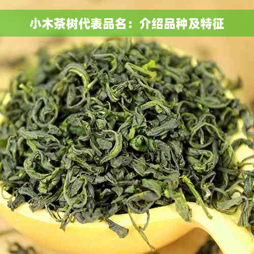 小木茶树代表品名：介绍品种及特征