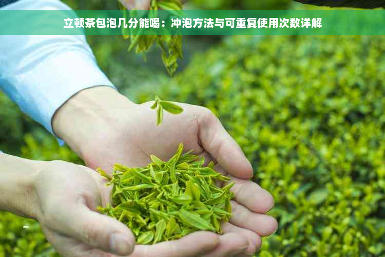 立顿茶包泡几分能喝：冲泡方法与可重复使用次数详解