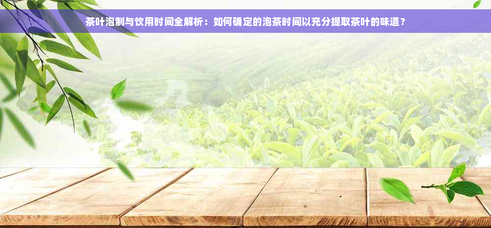 茶叶泡制与饮用时间全解析：如何确定的泡茶时间以充分提取茶叶的味道？