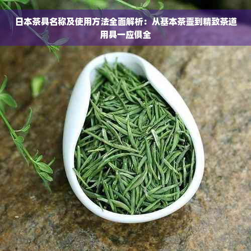 日本茶具名称及使用方法全面解析：从基本茶壶到精致茶道用具一应俱全