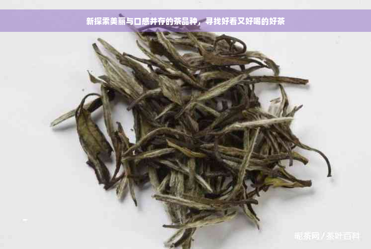 新探索美丽与口感并存的茶品种，寻找好看又好喝的好茶