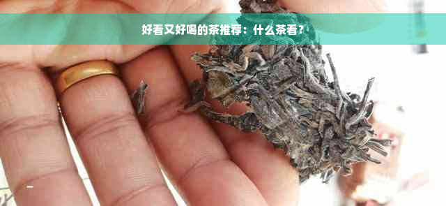 好看又好喝的茶推荐：什么茶看？