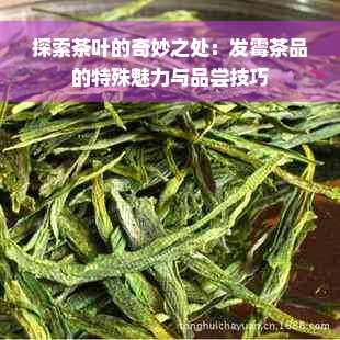 探索茶叶的奇妙之处：发霉茶品的特殊魅力与品尝技巧