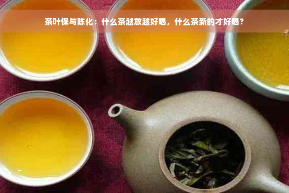 茶叶保与陈化：什么茶越放越好喝，什么茶新的才好喝？