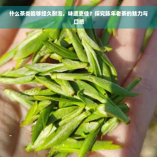 什么茶类能够经久耐泡，味道更佳？探究陈年老茶的魅力与口感