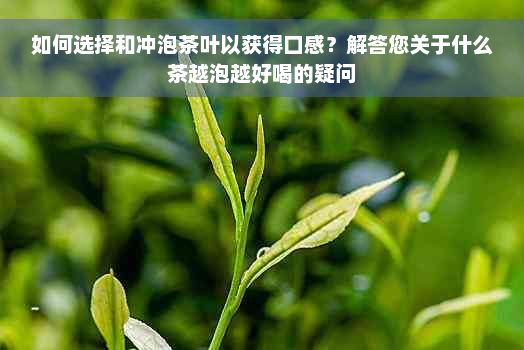 如何选择和冲泡茶叶以获得口感？解答您关于什么茶越泡越好喝的疑问