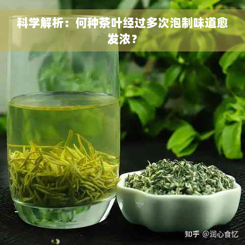 科学解析：何种茶叶经过多次泡制味道愈发浓？