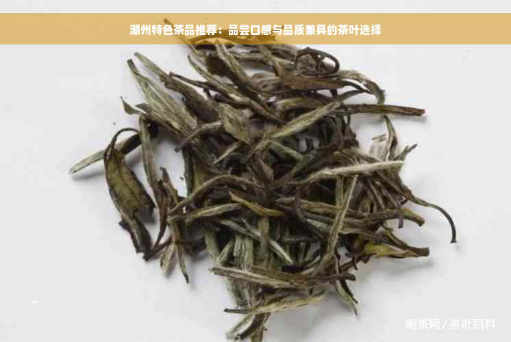 潮州特色茶品推荐：品尝口感与品质兼具的茶叶选择