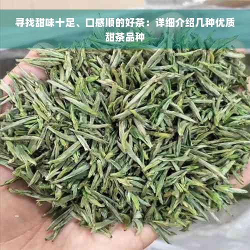 寻找甜味十足、口感顺的好茶：详细介绍几种优质甜茶品种