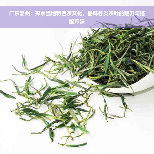 广东潮州：探索当地特色茶文化，品味各类茶叶的魅力与搭配方法