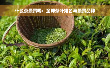 什么茶最贵喝：全球茶叶排名与最贵品种