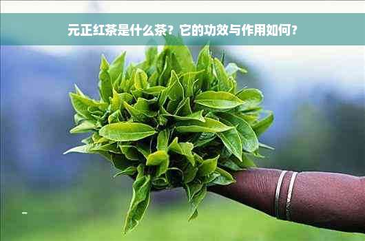 元正红茶是什么茶？它的功效与作用如何？