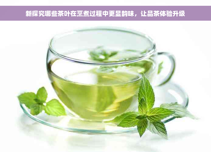 新探究哪些茶叶在烹煮过程中更显韵味，让品茶体验升级