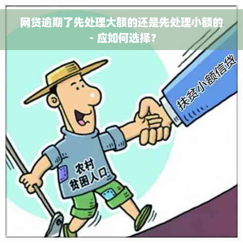 网贷逾期了先处理大额的还是先处理小额的 - 应如何选择？