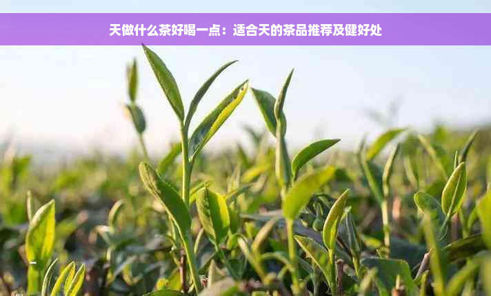 天做什么茶好喝一点：适合天的茶品推荐及健好处