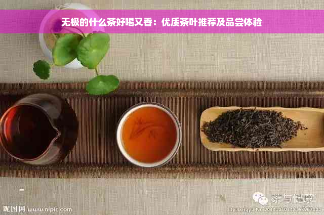 无极的什么茶好喝又香：优质茶叶推荐及品尝体验