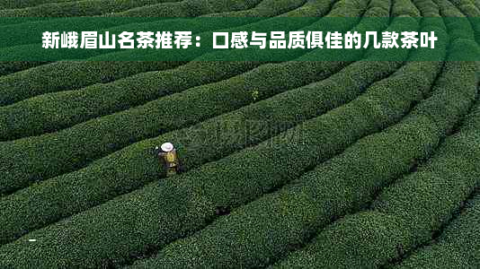 新峨眉山名茶推荐：口感与品质俱佳的几款茶叶