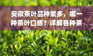 安徽茶叶品种繁多，哪一种茶叶口感？详解各种茶叶特点及适宜冲泡方法