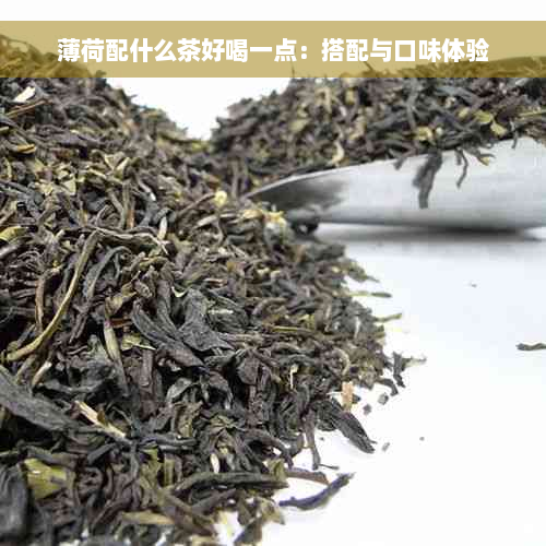 薄荷配什么茶好喝一点：搭配与口味体验