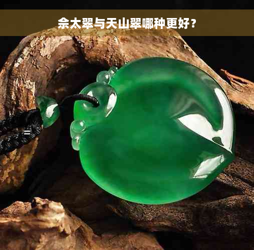 佘太翠与天山翠哪种更好？