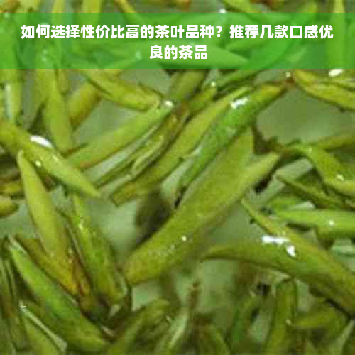 如何选择性价比高的茶叶品种？推荐几款口感优良的茶品