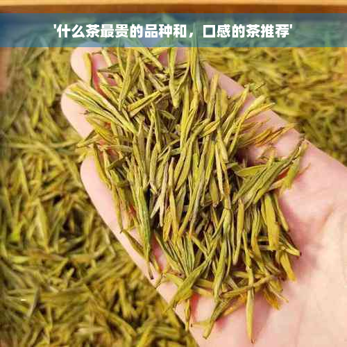 '什么茶最贵的品种和，口感的茶推荐'